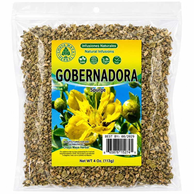 gobernadora